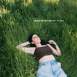 Cover of the boys who don't know what they want