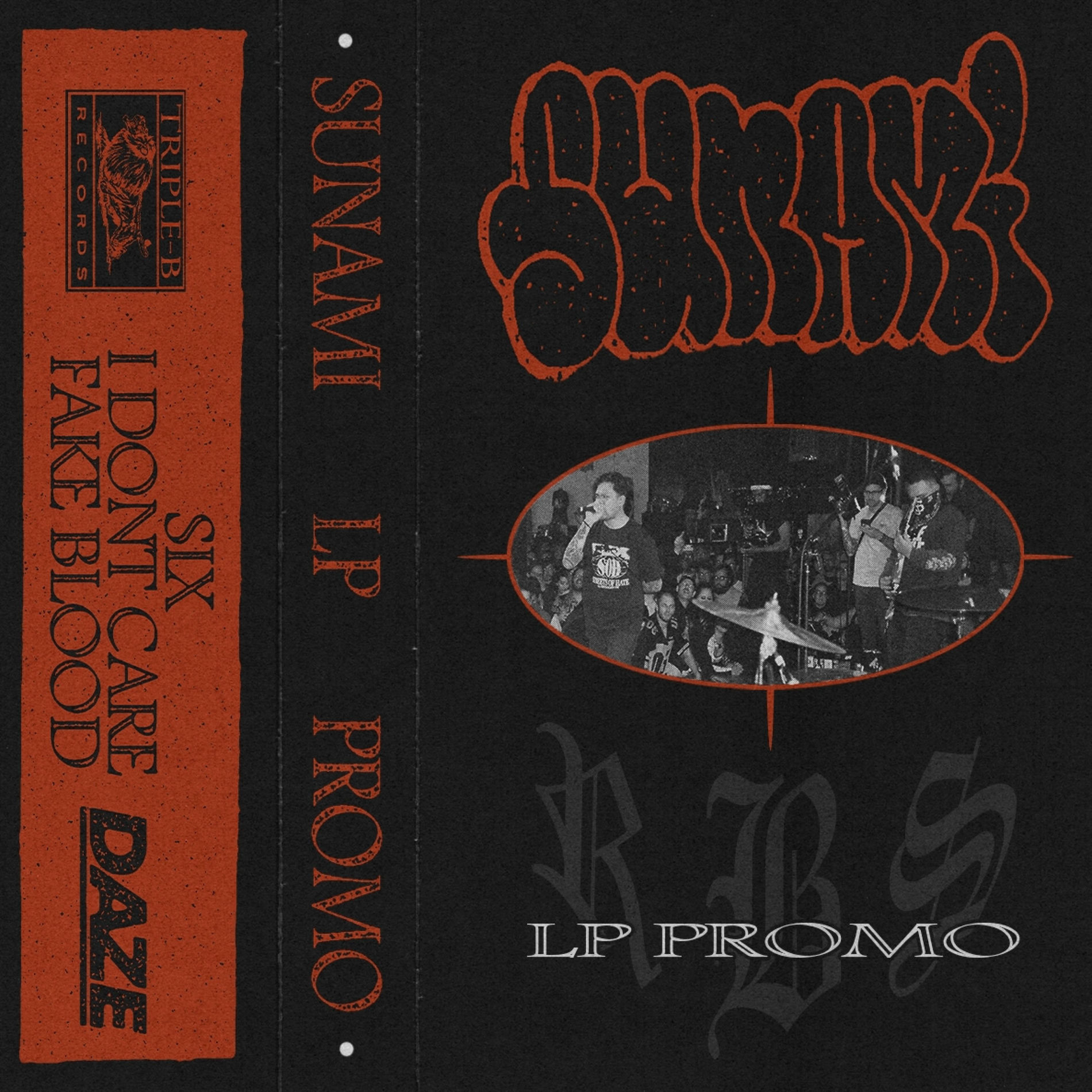 Album cover of Fake Blood