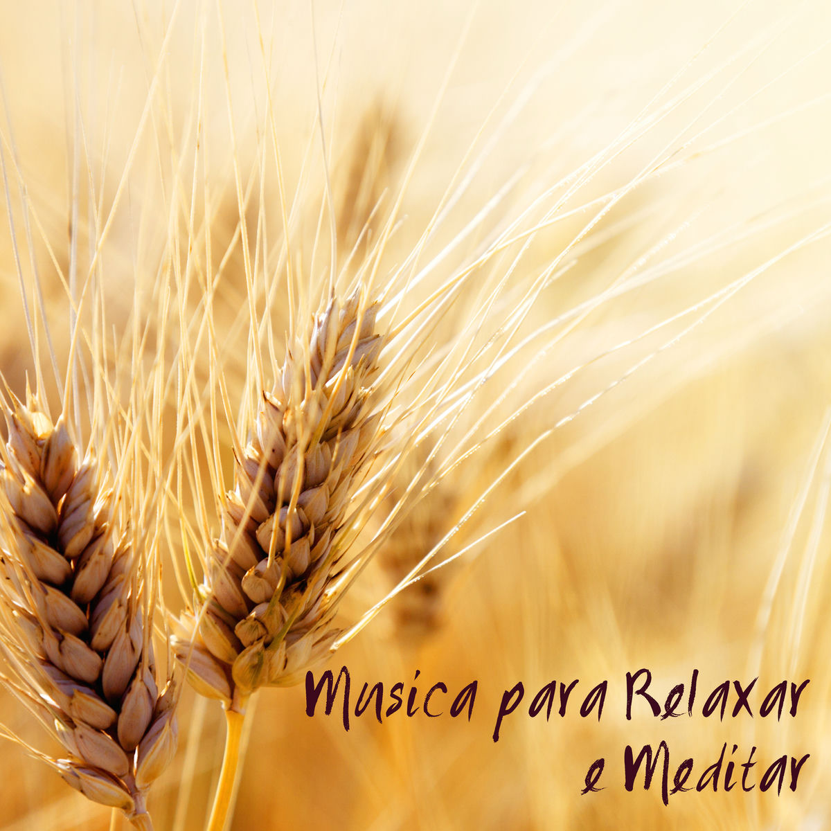 Album cover of Musica para Relaxar e Meditar - Mùsica Doce Zen de Fondo para Pensamento Positivo e Meditação para Iniciantes