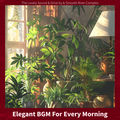 Elegant BGM For Every Morning