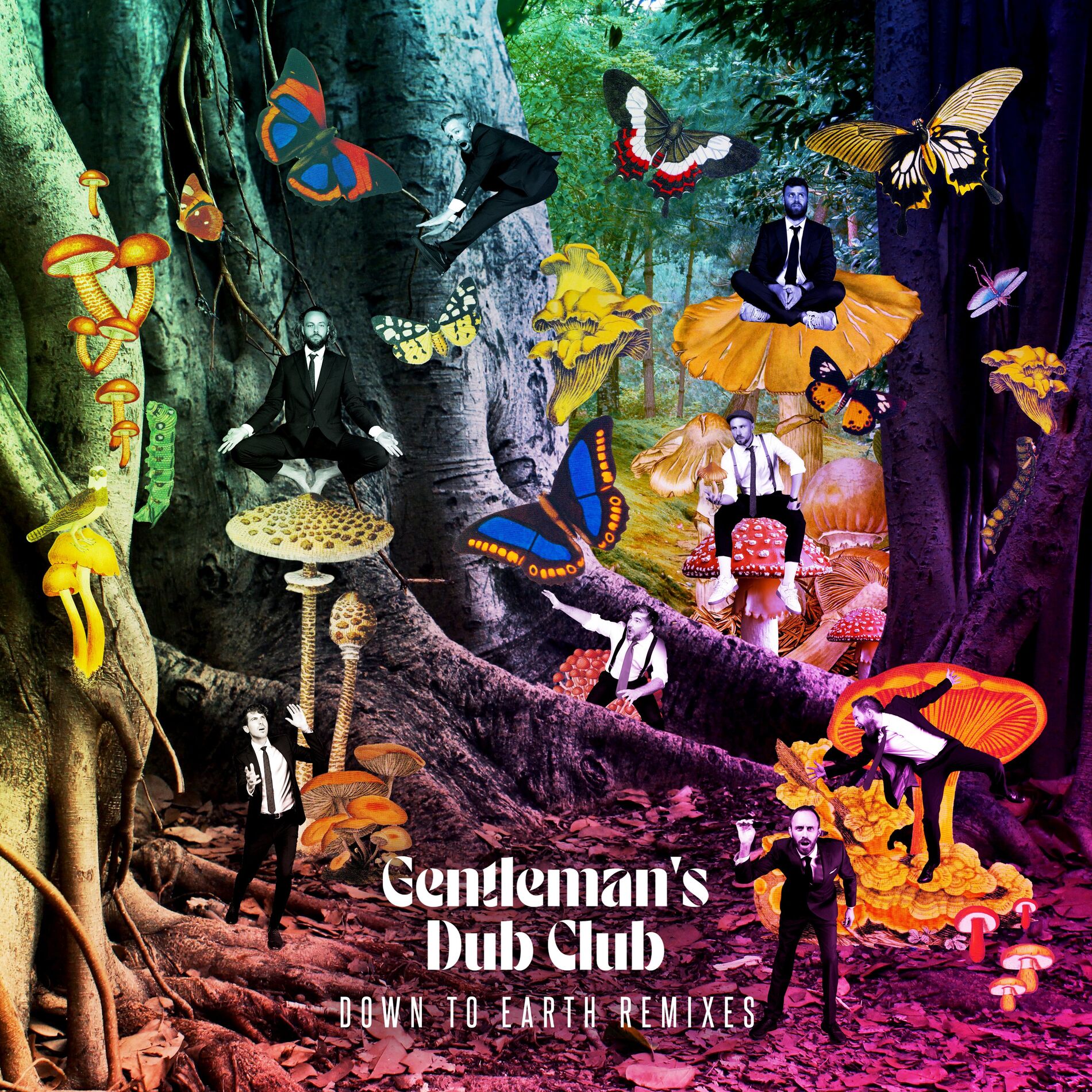 Album cover of Down to Earth (Remixes)