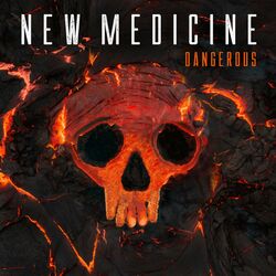 Cover of Dangerous