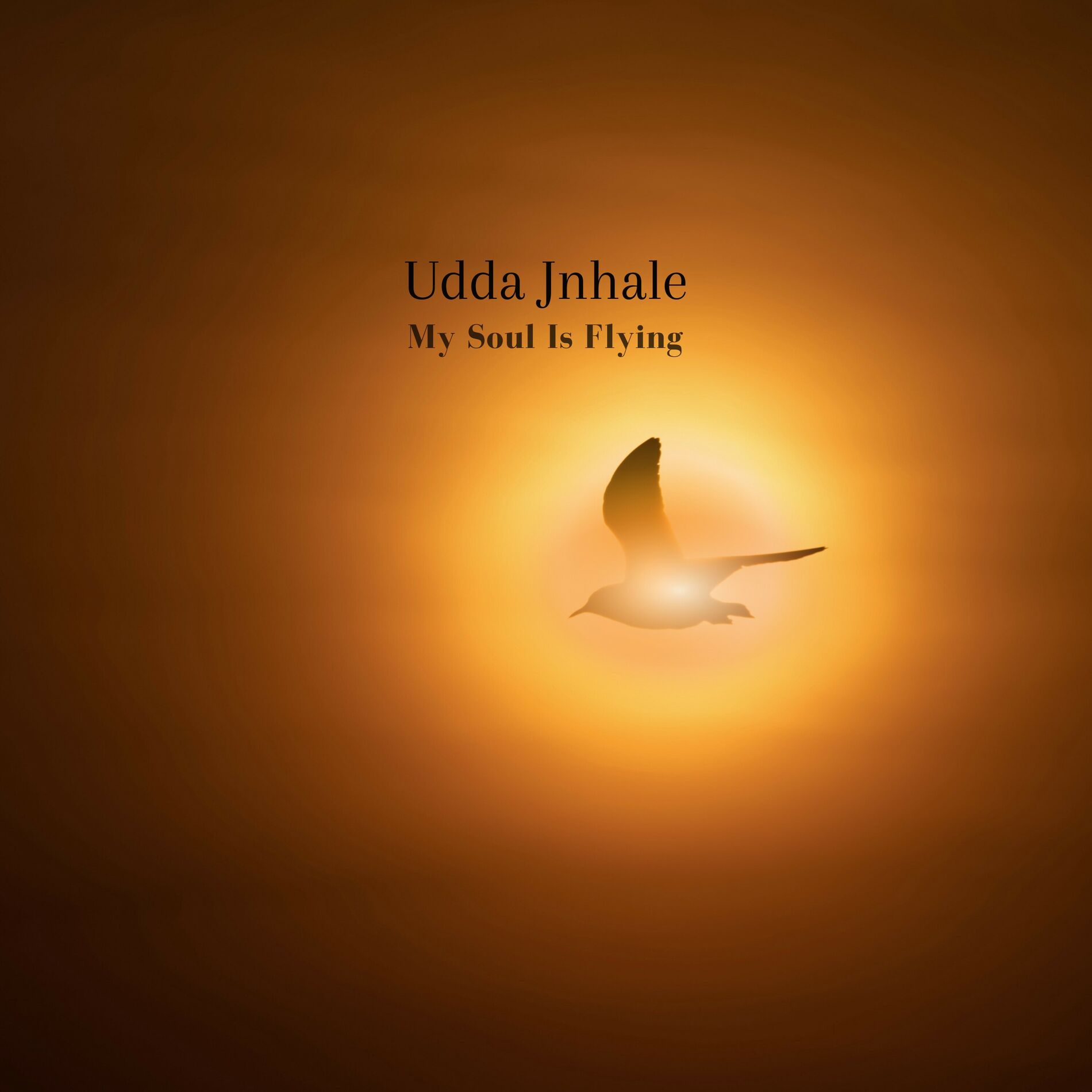 Album cover of My Soul Is Flying