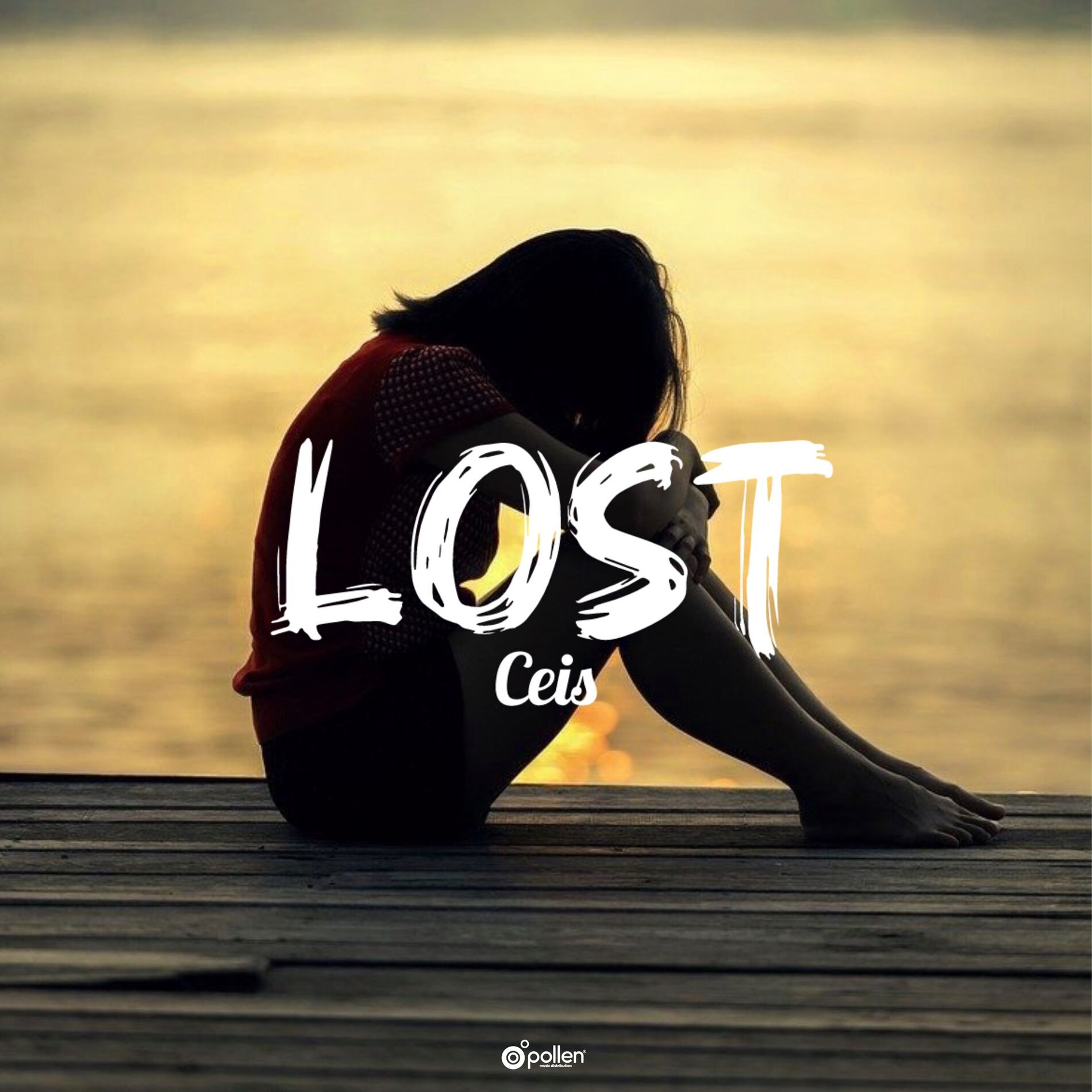 Album cover of Lost