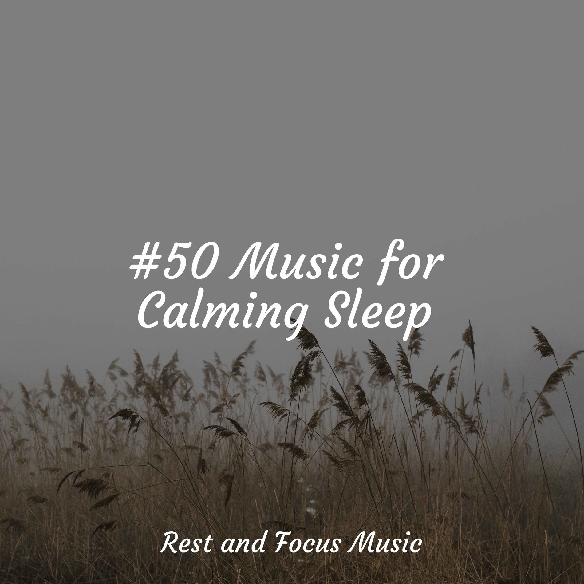 Album cover of #50 Music for Calming Sleep