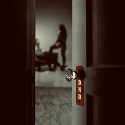 Cover of dnd (fatal attraction)