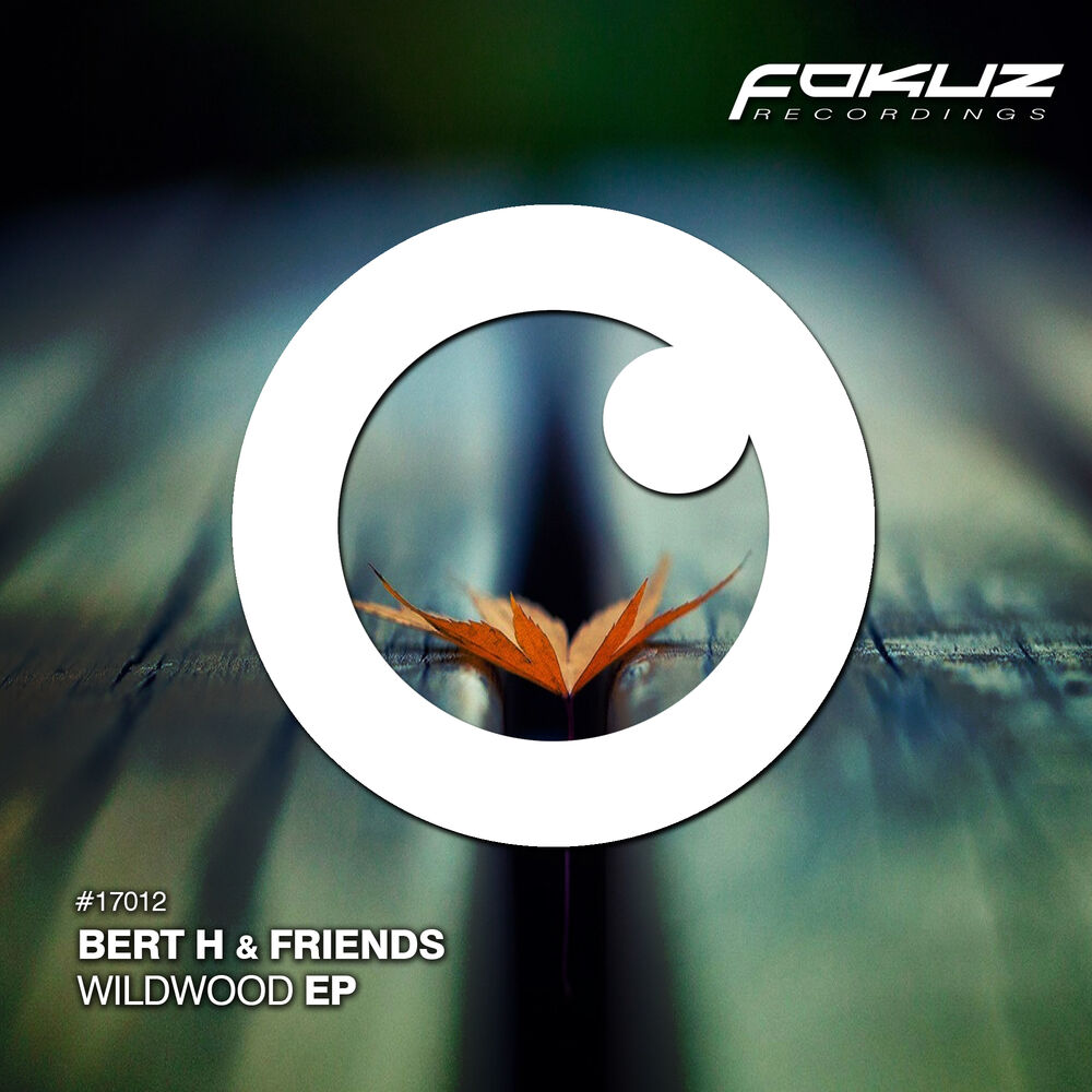 Picture of Bert H & Friends - Wildwood EP