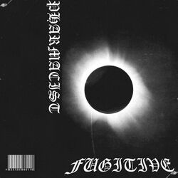 Cover of Fugitive