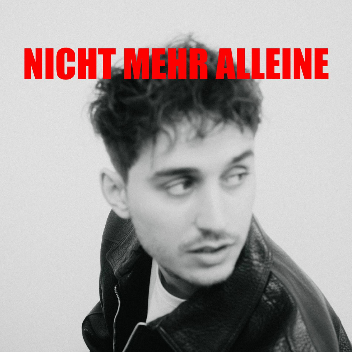 Album cover of Nicht mehr alleine