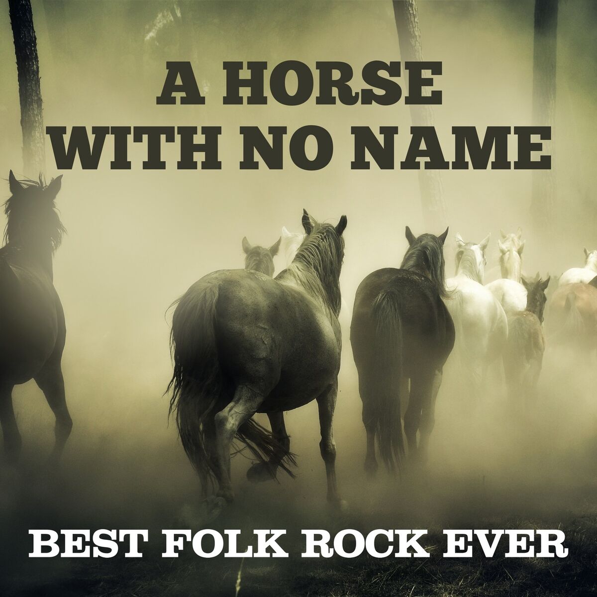 Album cover of A Horse with No Name: Best Folk Rock Ever