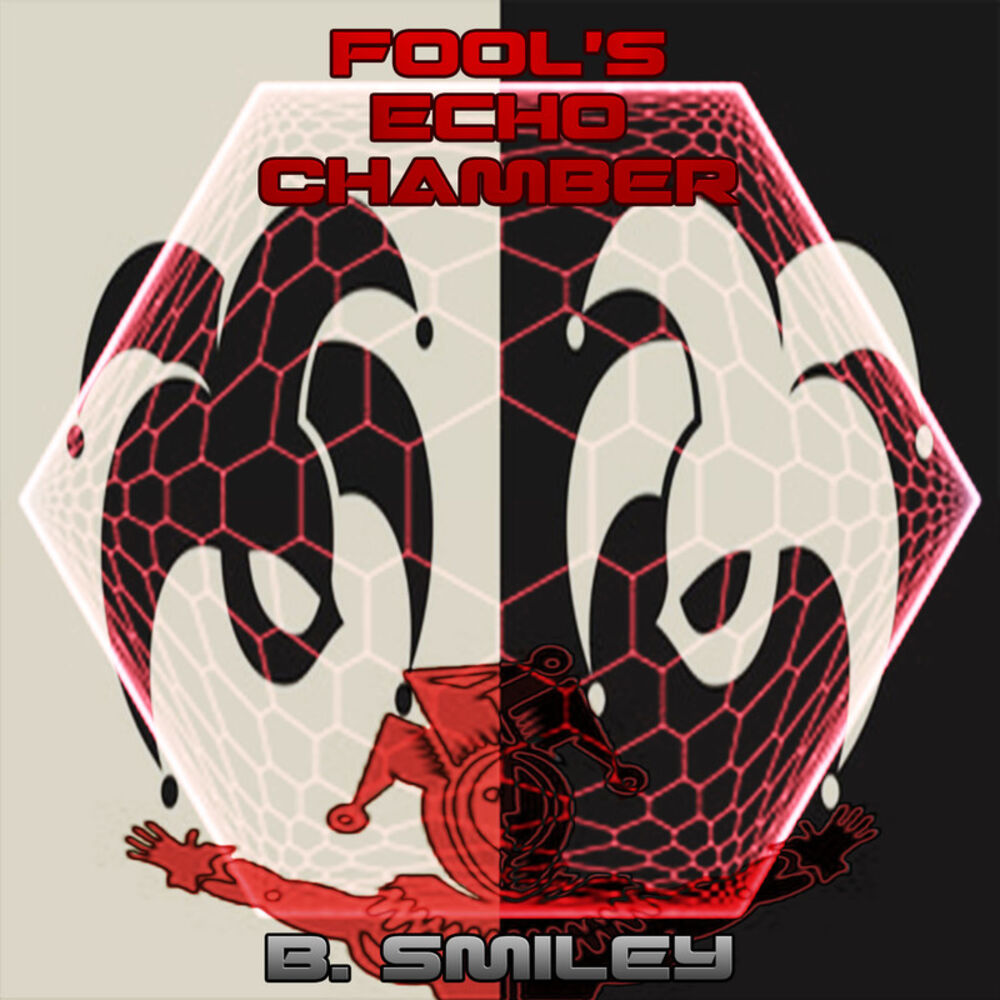 Picture of Fool's Echo Chamber