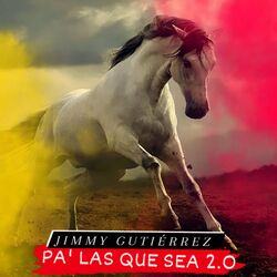 Cover of Pa' las Que Sea 2.0