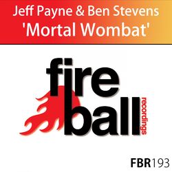 Cover of Mortal Wombat