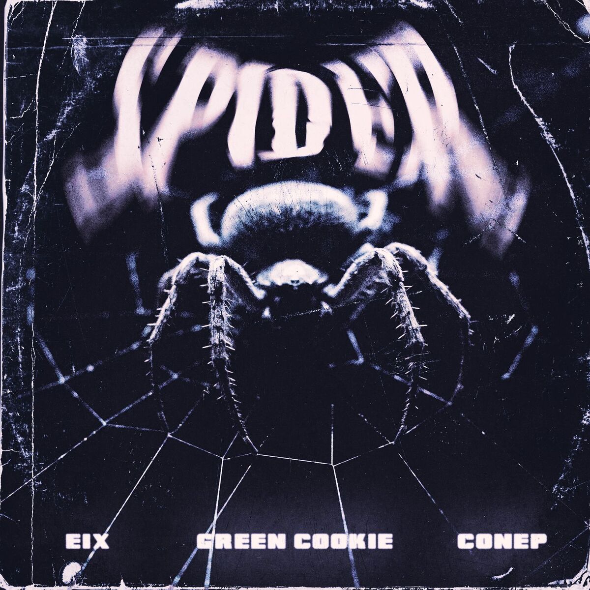 Album cover of Spider