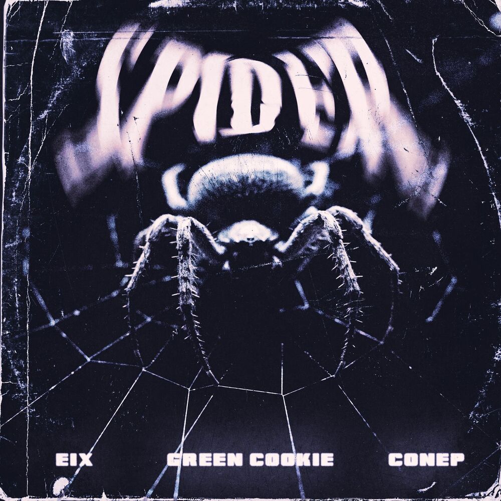Picture of Spider