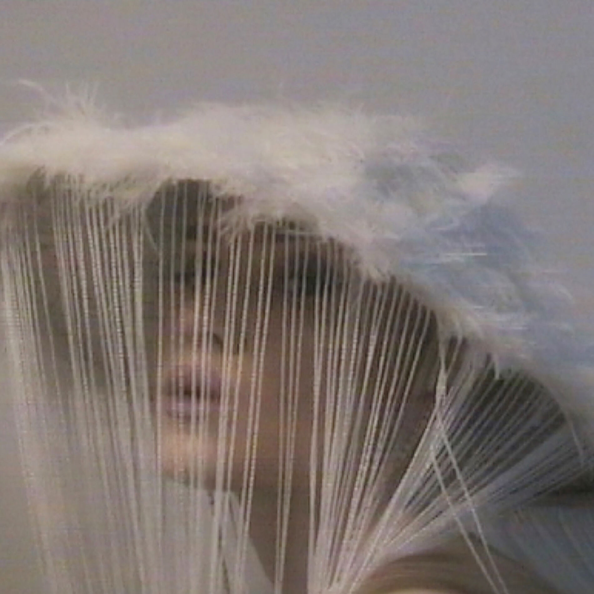 Album cover of Wondering