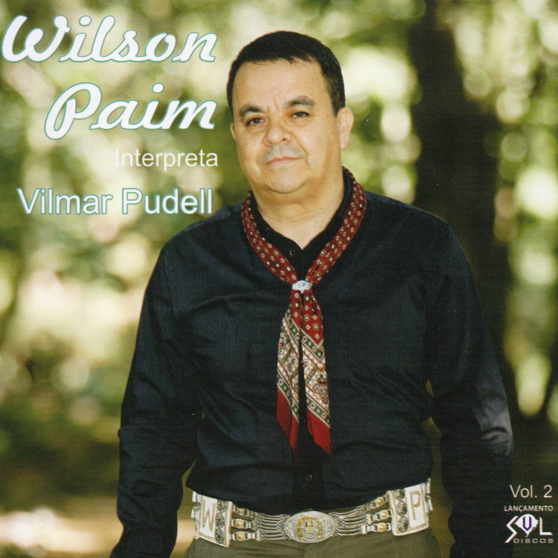 Album cover of Wilson Paim Interpreta Vilmar Pudell, Vol. 2