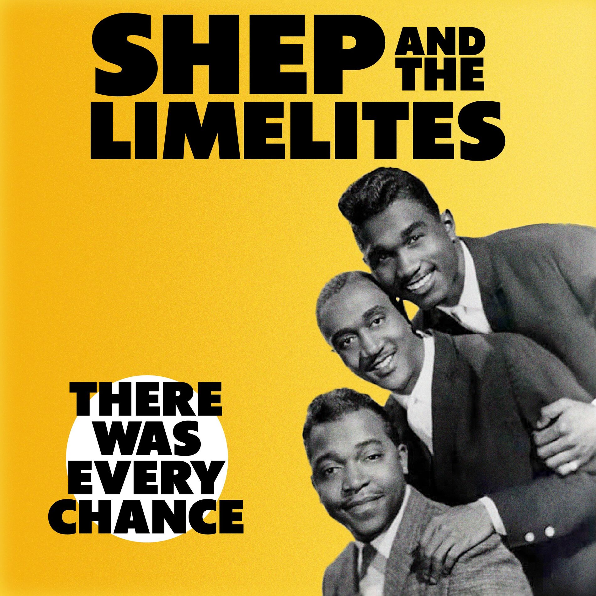 Album cover of There Was Every Chance