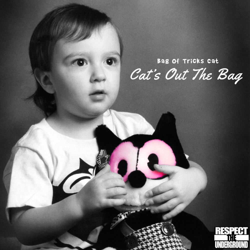 Picture of Cat's out the Bag
