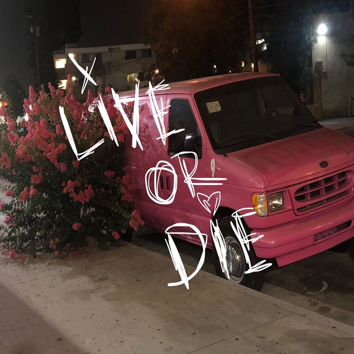 Album cover of Live or Die
