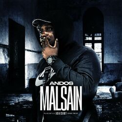 Cover of Malsain