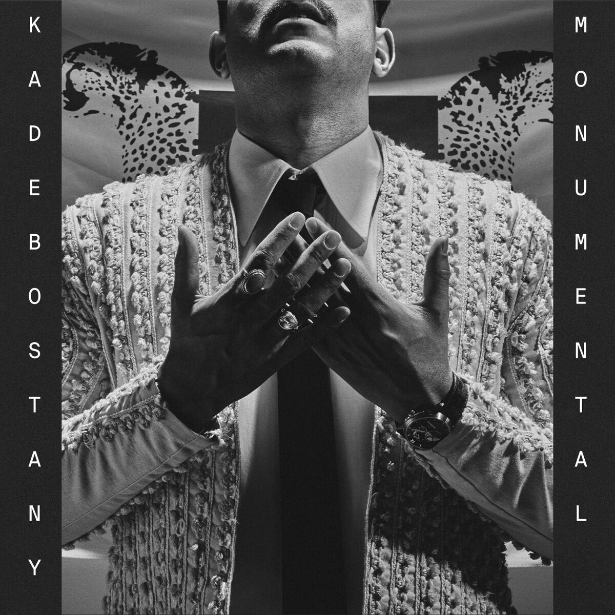 Album cover of Monumental