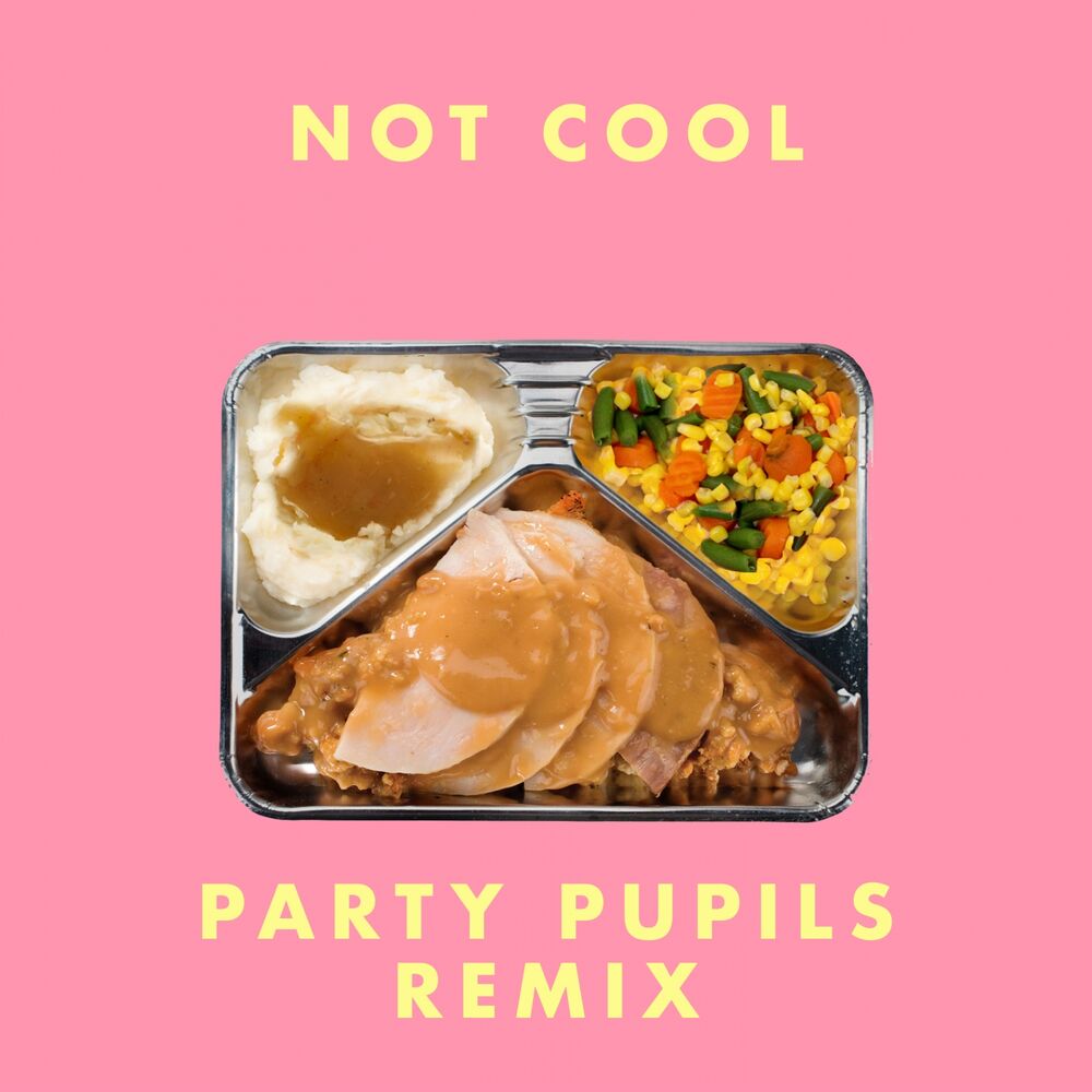 Picture of Not Cool (Party Pupils Remix)
