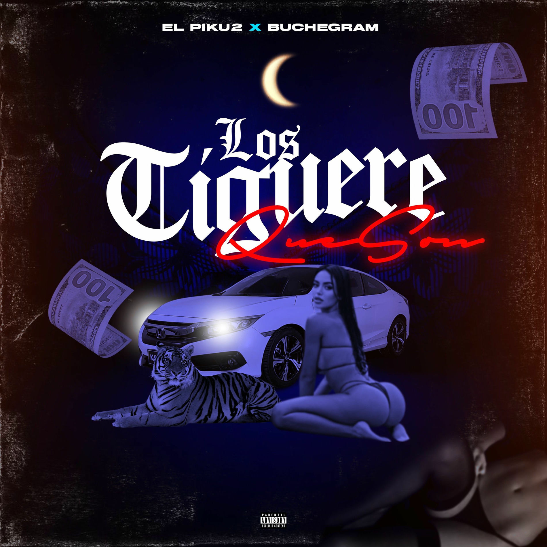 Album cover of Los Tiguere Que Son