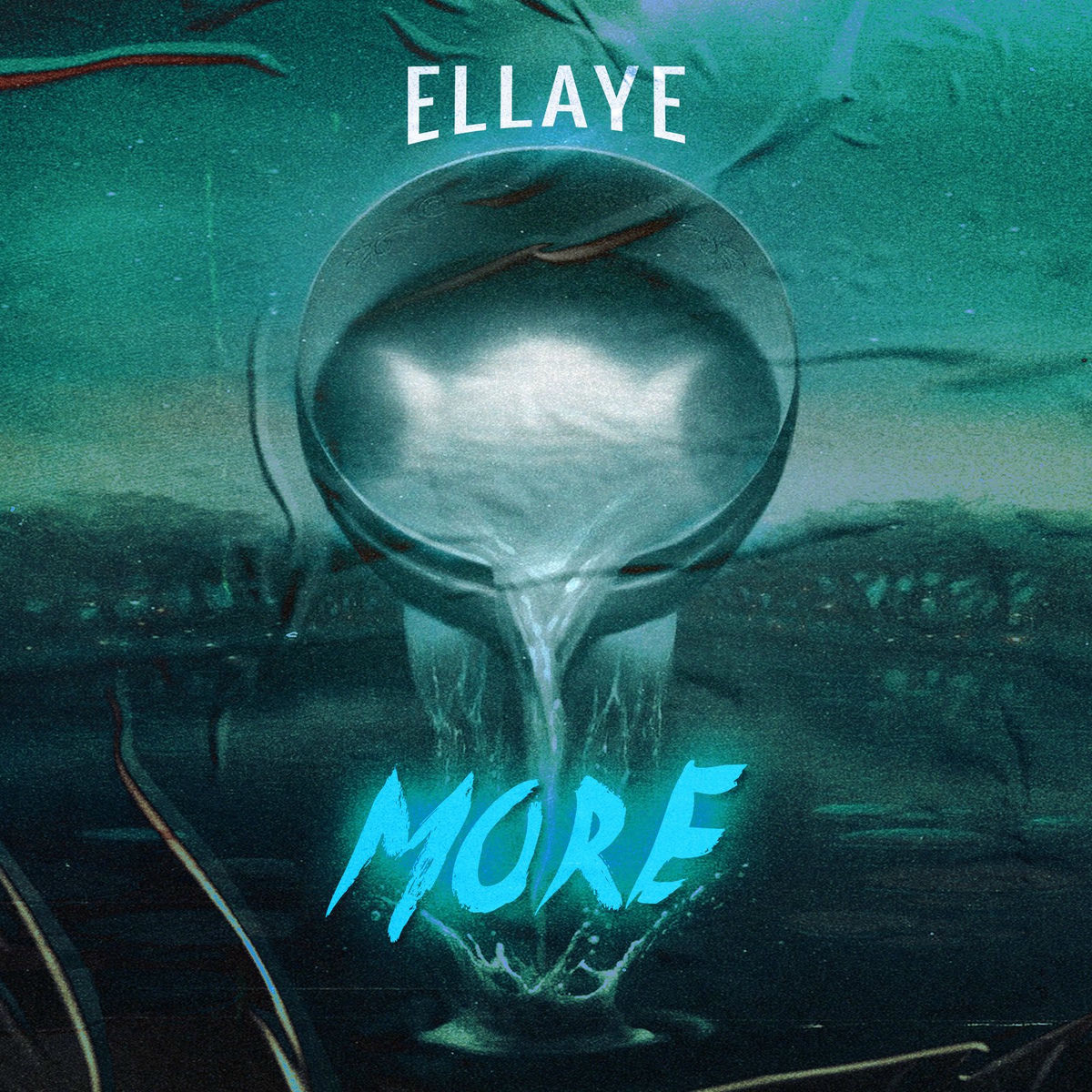 Album cover of More