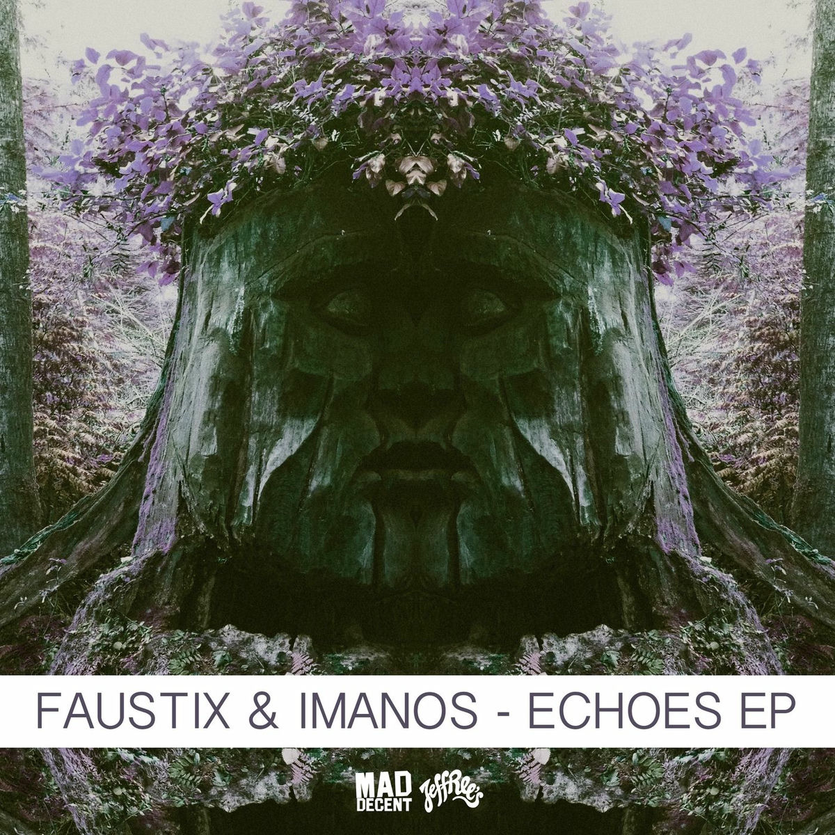 Album cover of Echoes