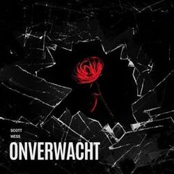 Cover of Onverwacht