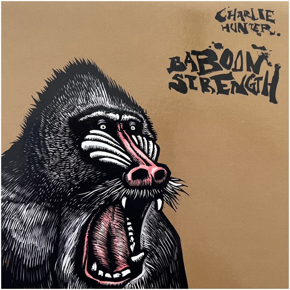 Album cover of Baboon Strength