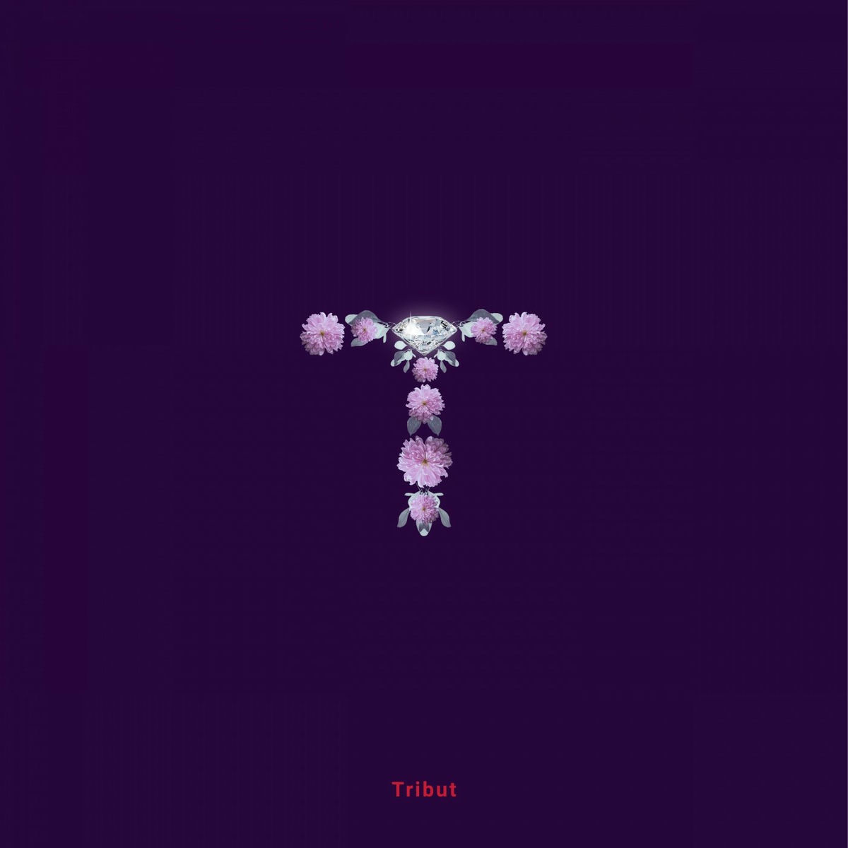 Album cover of Tribut