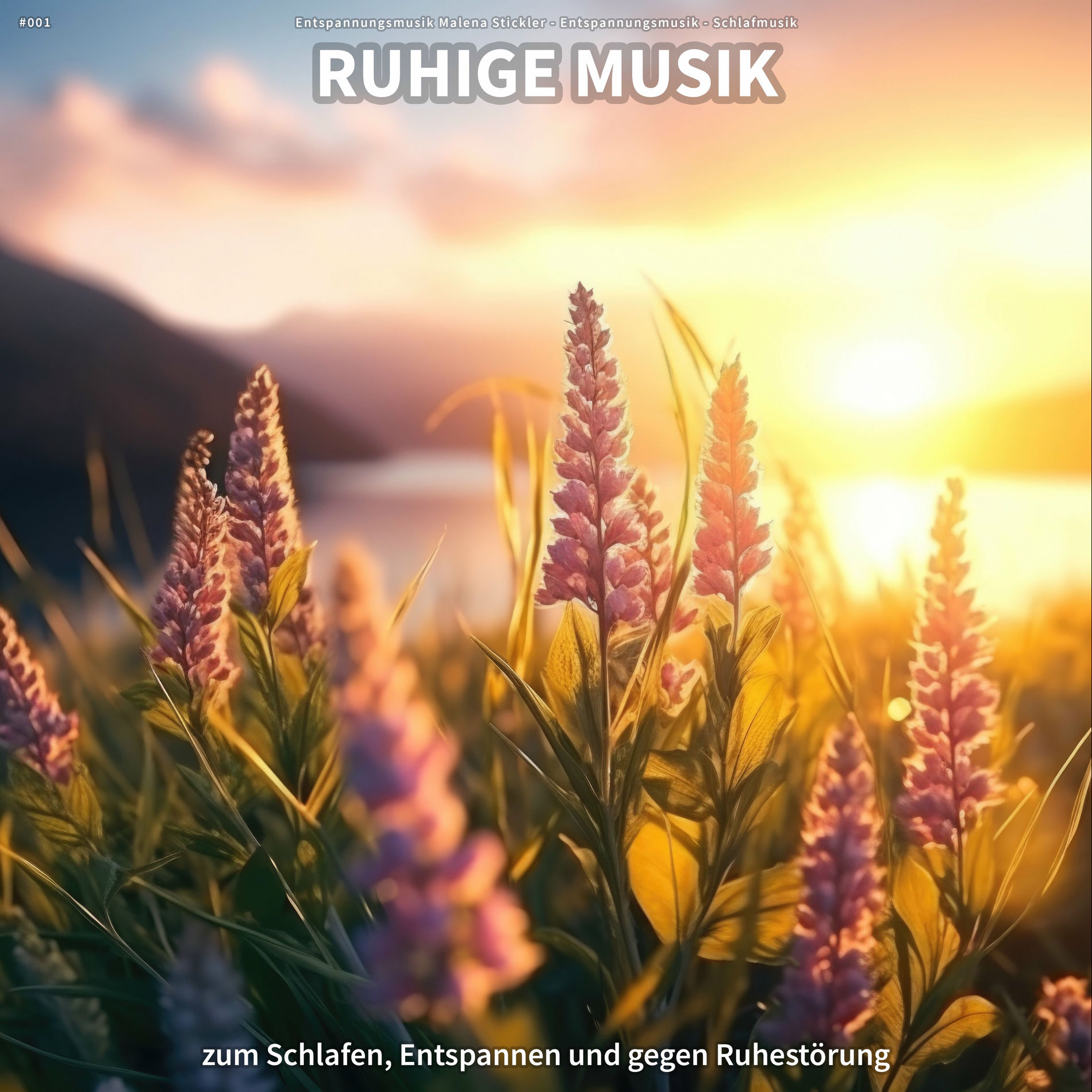 Album cover of #001 Ruhige Musik zum Schlafen, Entspannen und gegen Ruhestörung