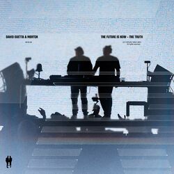 Cover of The Future Is Now - The Truth