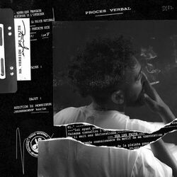 Cover of Ma version des faits