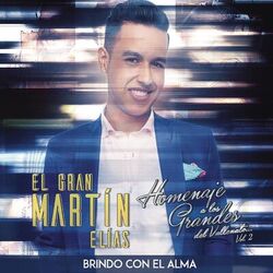Cover of Brindo Con El Alma