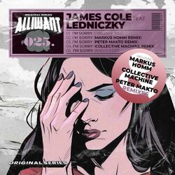 Cover of I'm Sorry feat. Ledniczky