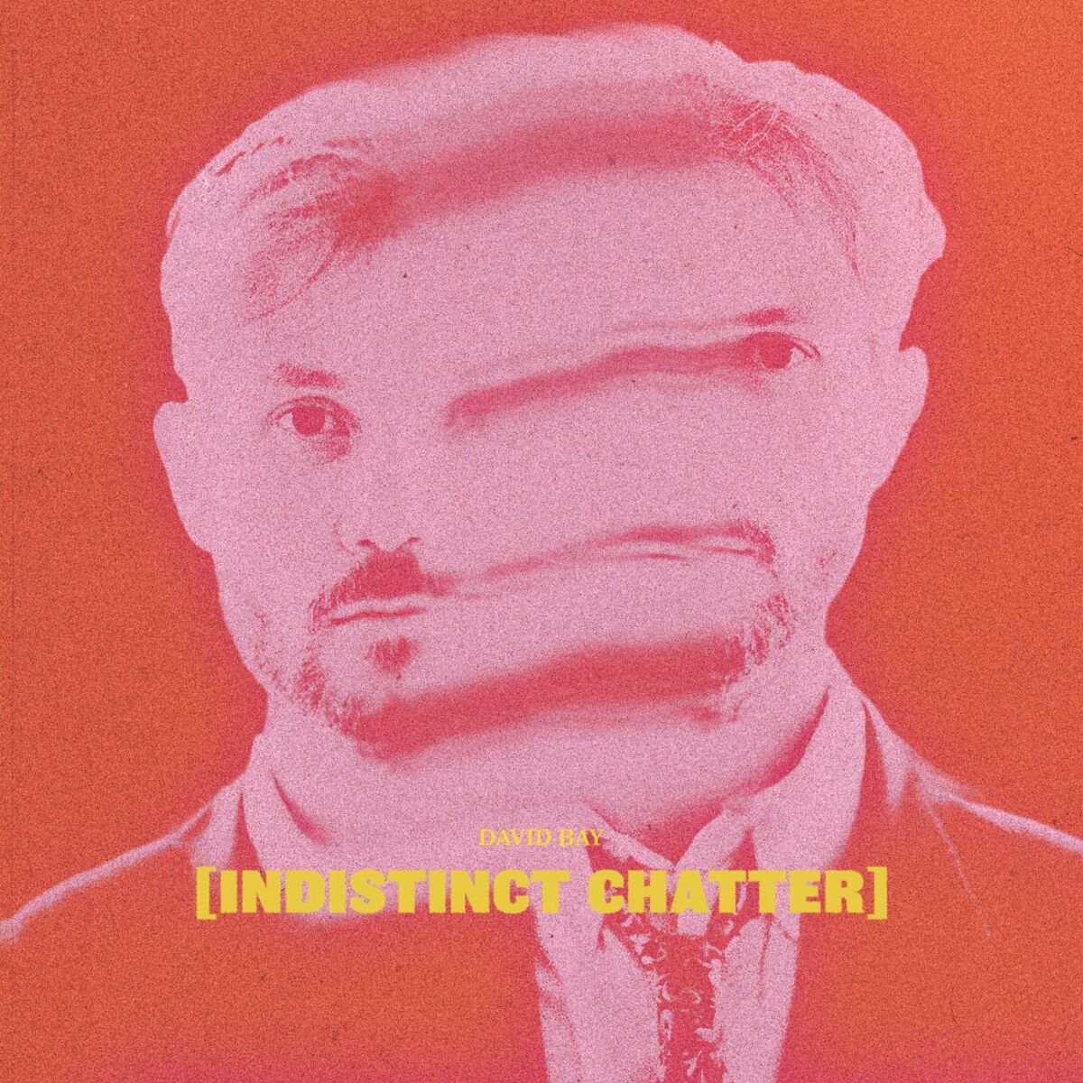 Album cover of Indistinct Chatter