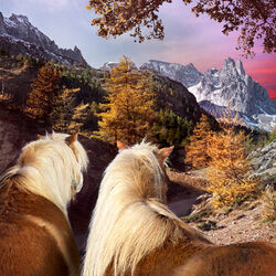 Cover of Seasons