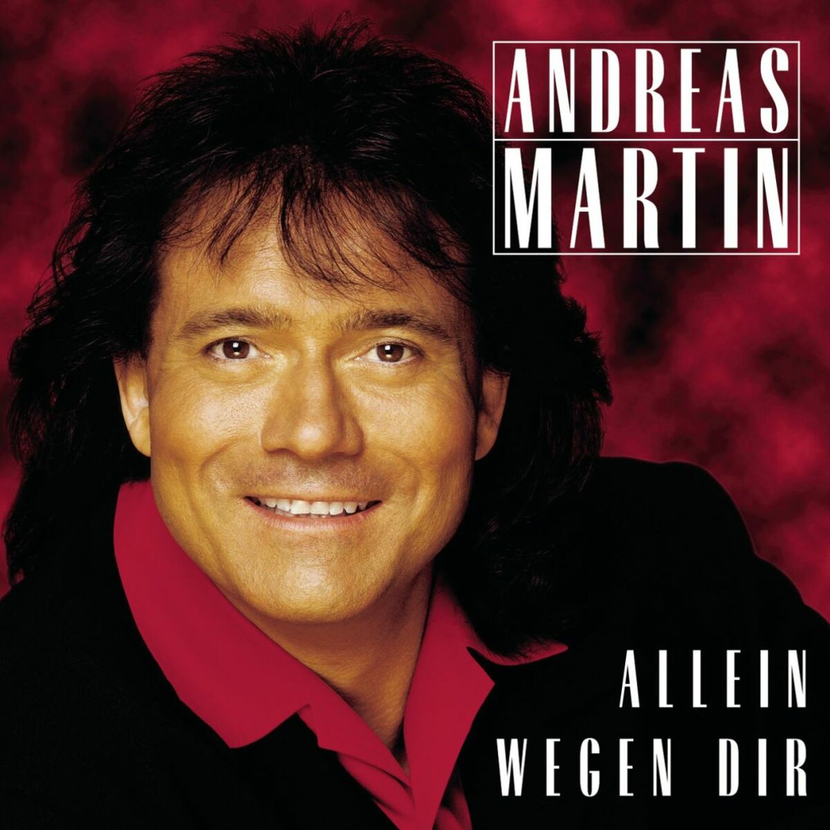 Album cover of Allein wegen Dir