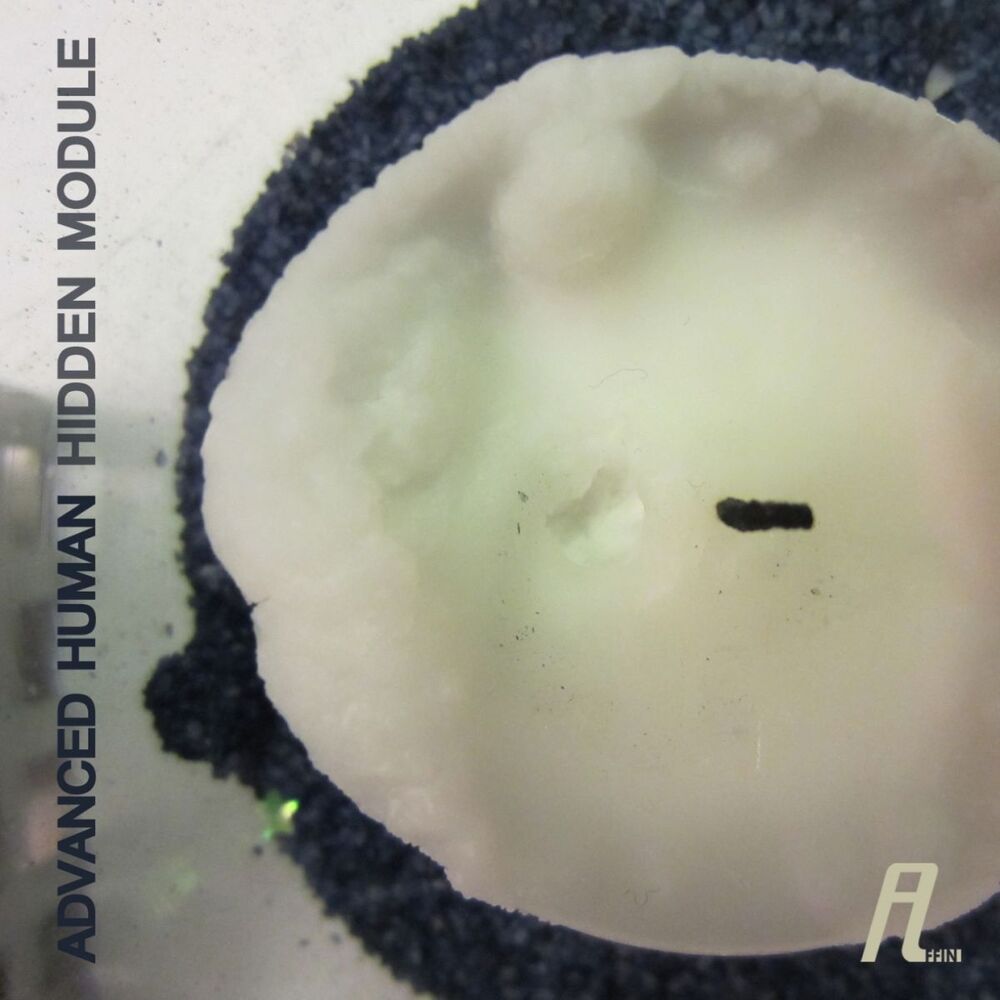 Picture of Hidden Module