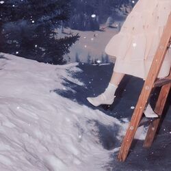 Cover of Winter Wonderland