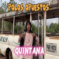 Cover of Polos Opuestos