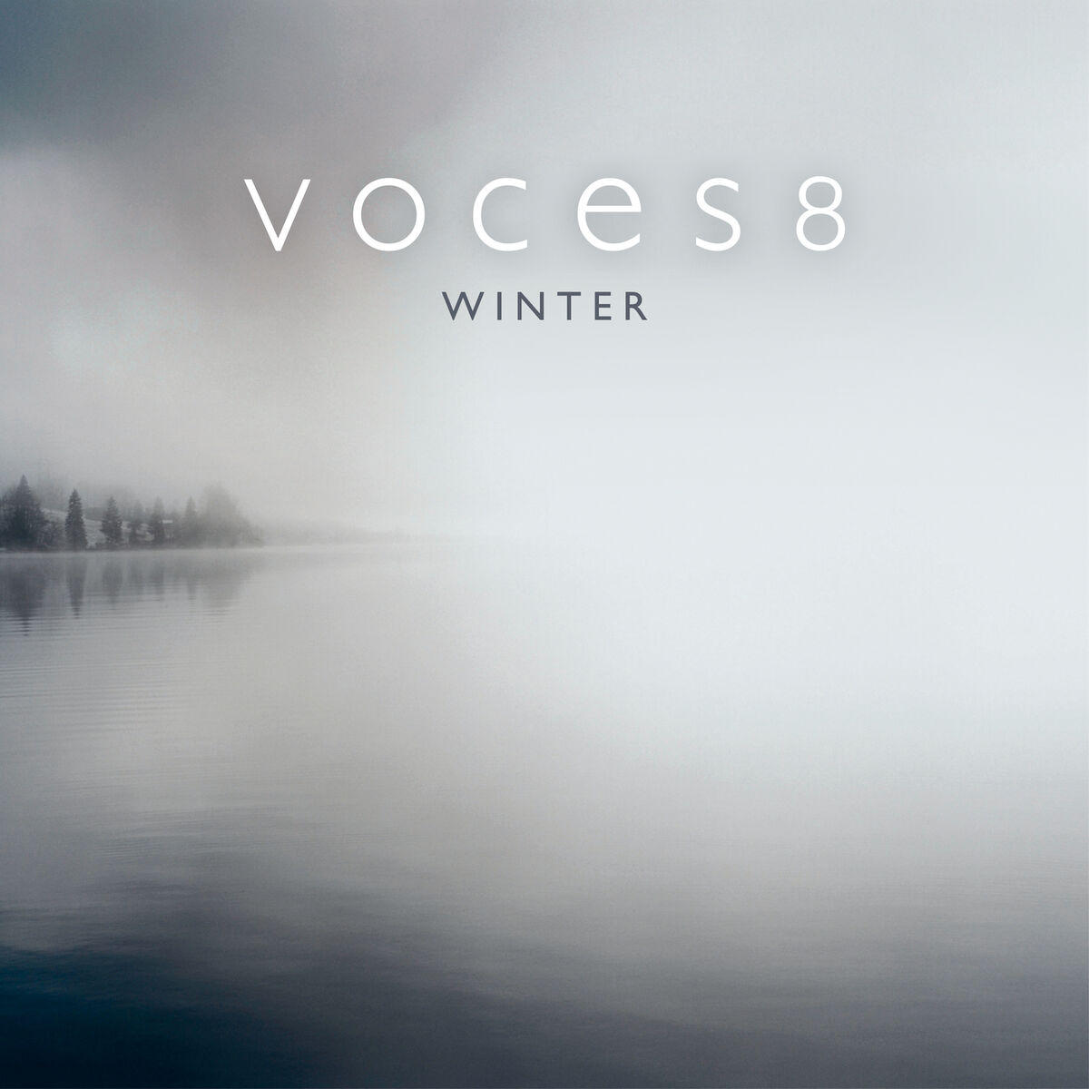 Album cover of For Now I Am Winter