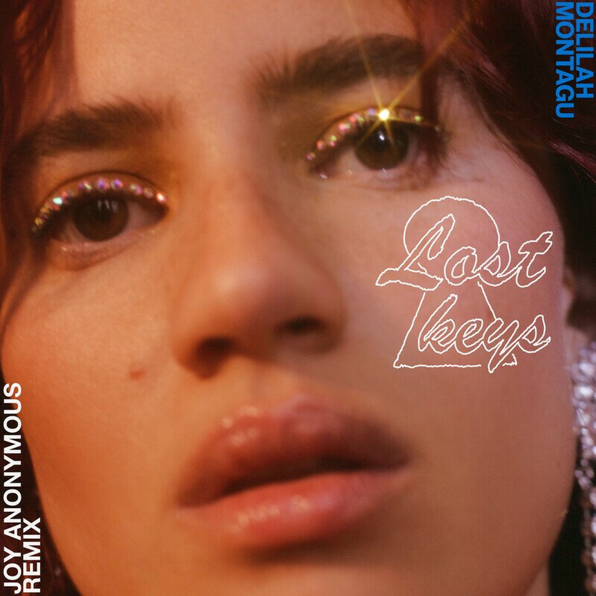 Album cover of Lost Keys (Joy Anonymous Remix)