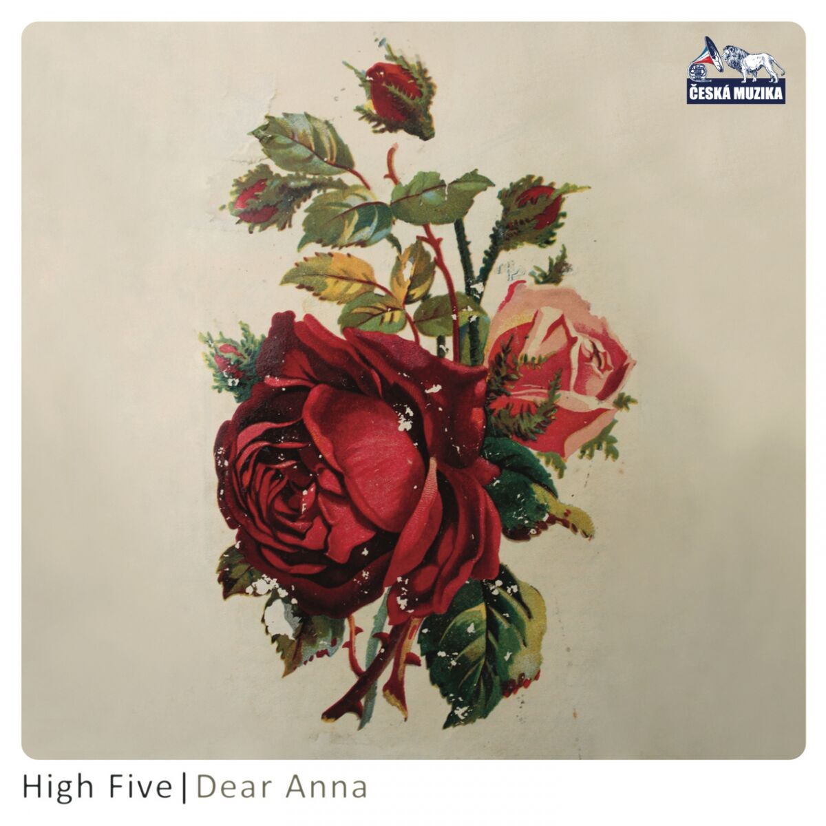 Album cover of Dear Anna