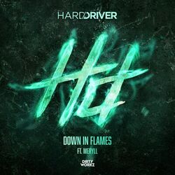 Cover of Down In Flames