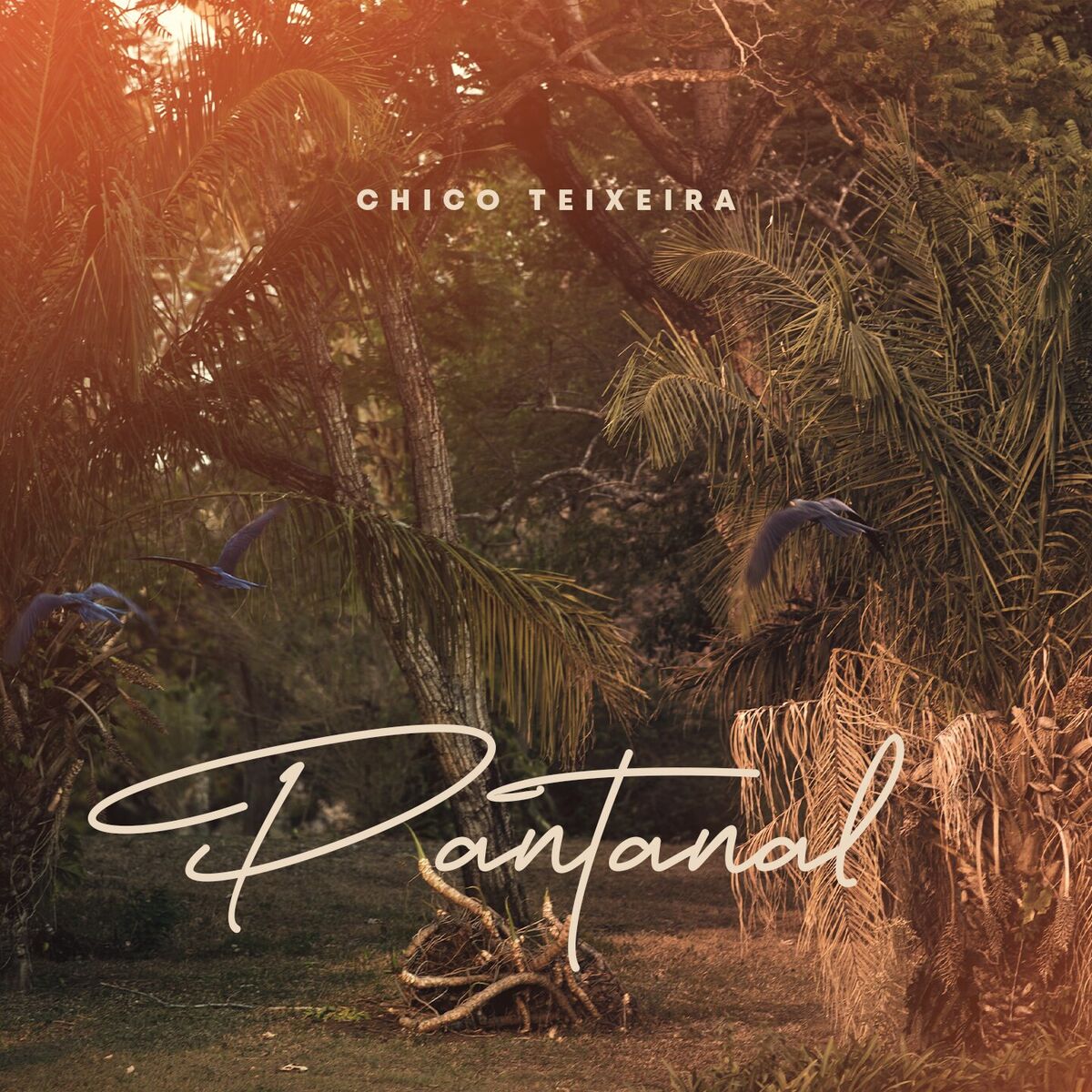 Album cover of Pantanal