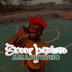 Cover of Amaphupho